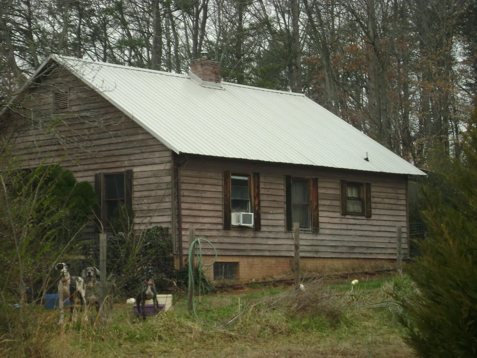White metal roof on an old wood sided farmhouse, from a Asphalt Shingle Roof Repair job in Mount Airy